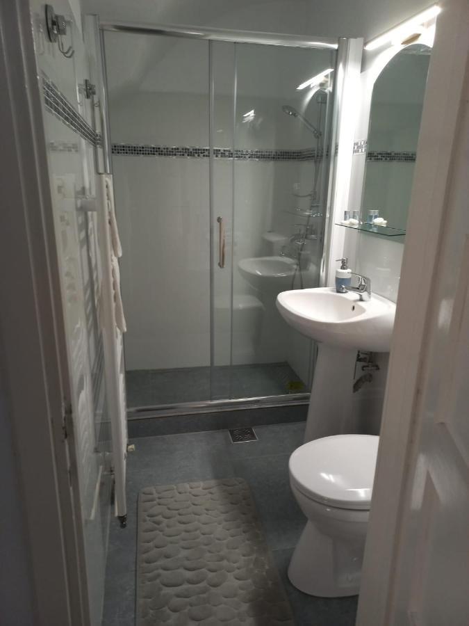 Enjoy Apartment Сибиу Екстериор снимка