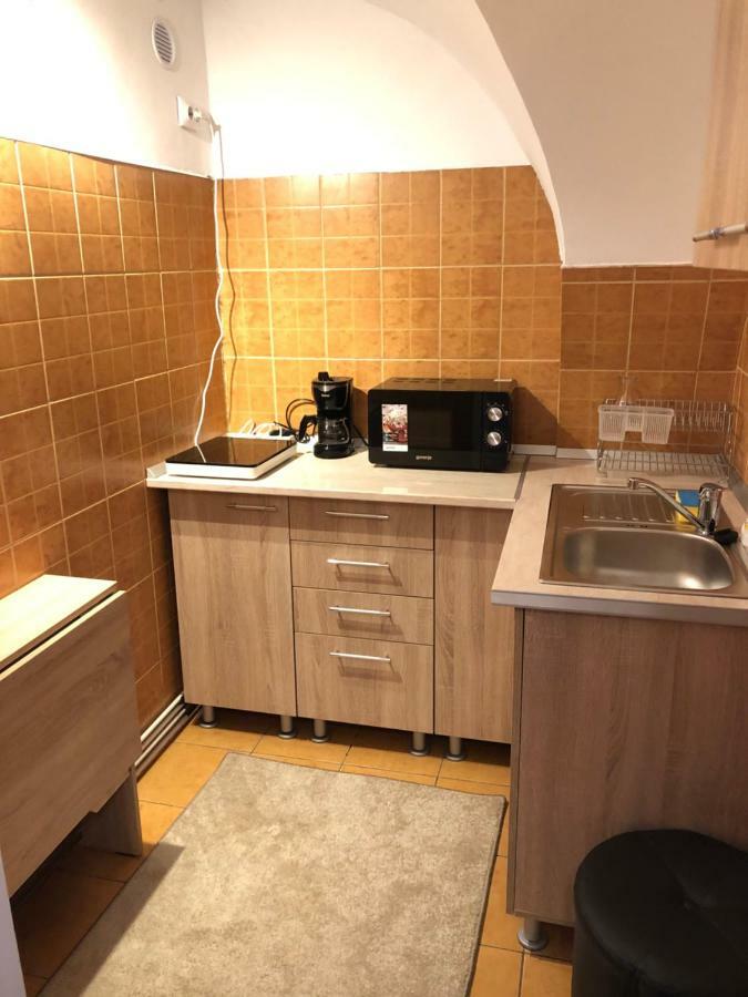 Enjoy Apartment Сибиу Екстериор снимка